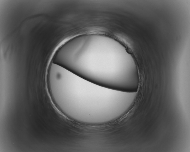 X0000085221471200703090817