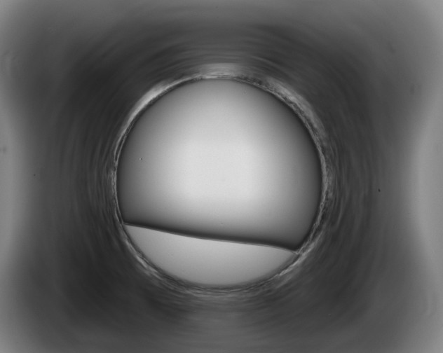 X0000085221473200703090817