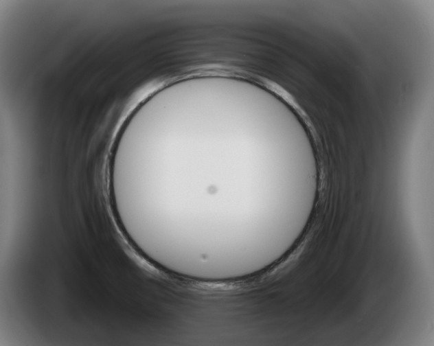 X0000085221474200703090817