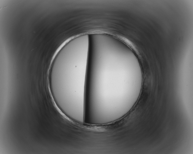 X0000085221476200703090817