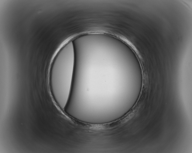 X0000085221477200703090817