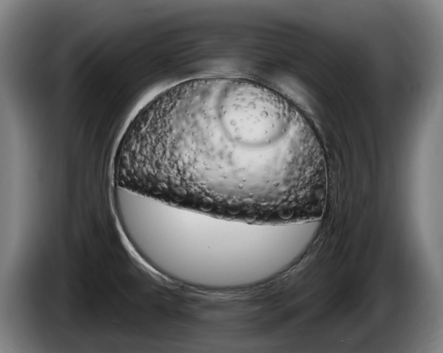 X0000085221479200703090817