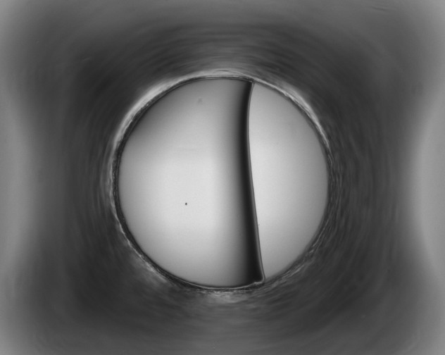 X0000085221480200703090817