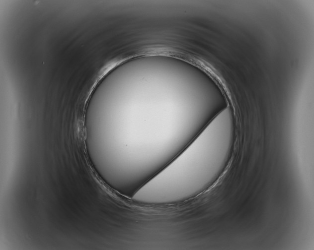 X0000085221481200703090817