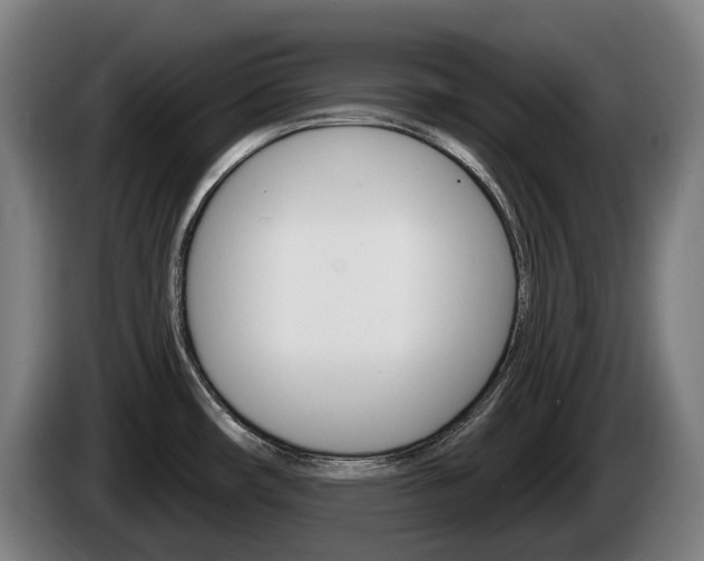 X0000085221482200703090817