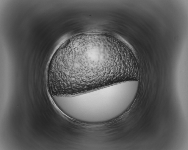 X0000085221483200703090817
