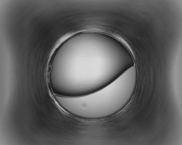 X0000085221485200703090817