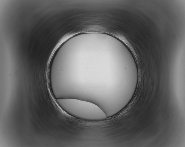 X0000085221486200703090817