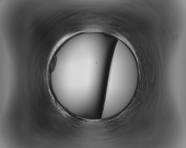 X0000085221488200703090817