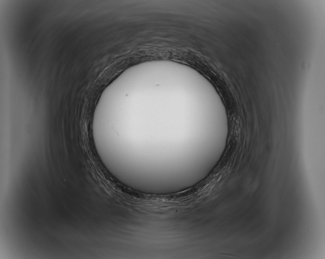 X0000085221489200703090816