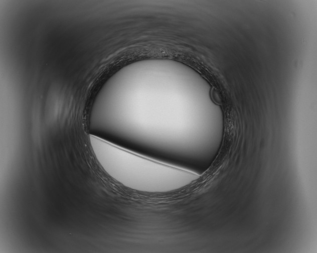 X0000085221490200703090816