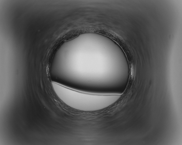 X0000085221492200703090816