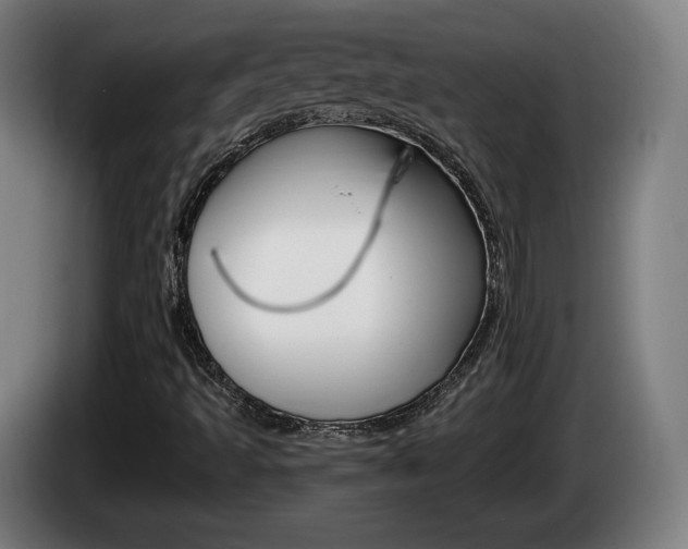 X0000085221493200703090816