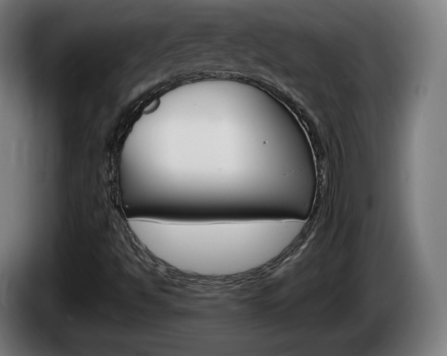 X0000085221494200703090816