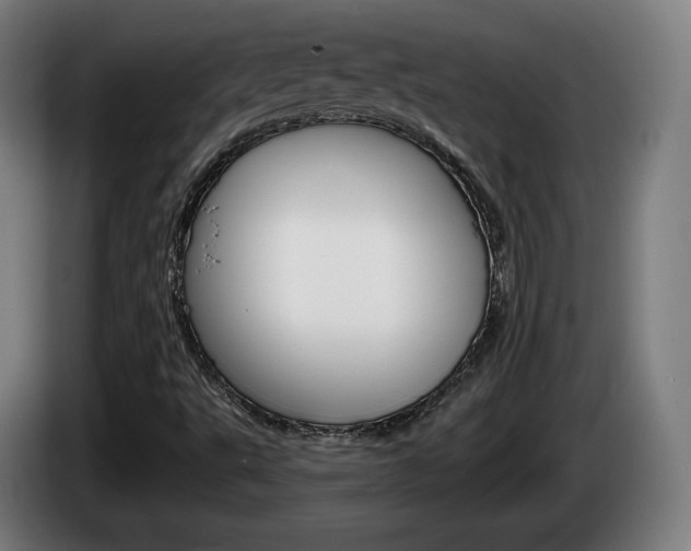 X0000085221495200703090816