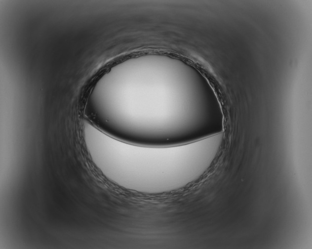 X0000085221496200703090816