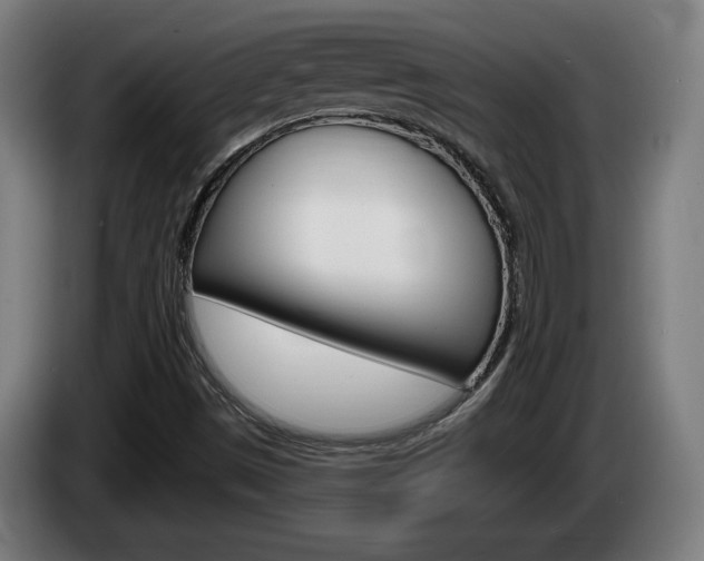 X0000085221497200703090817