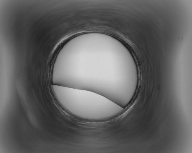 X0000085221498200703090817