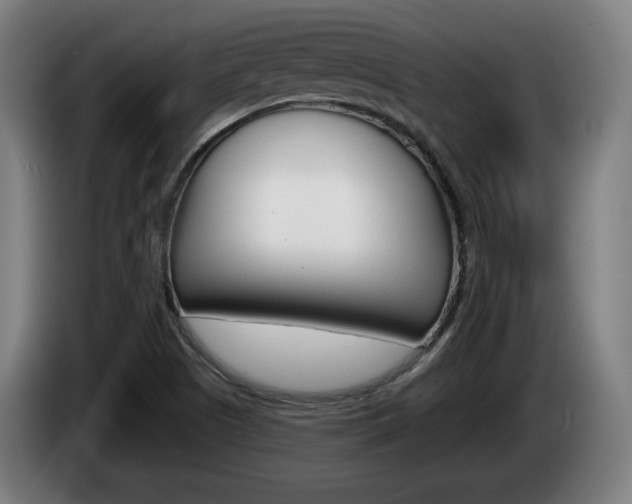 X0000085221505200703090817