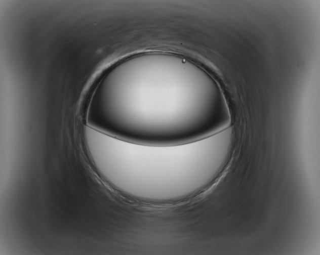 X0000085221506200703090817