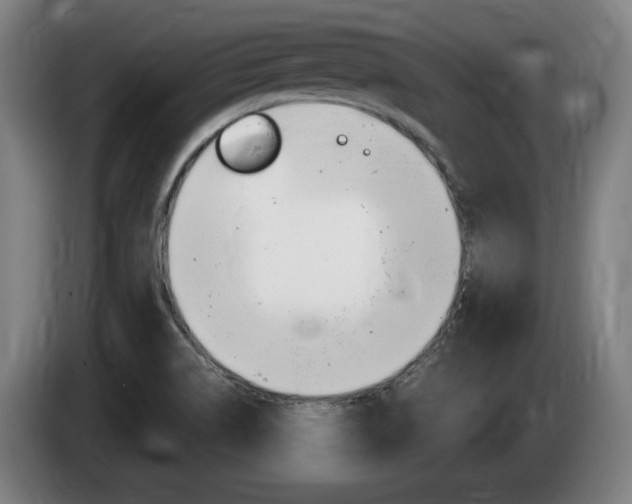 X0000085221514200703090817