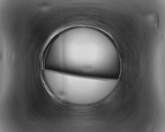 X0000085221515200703090817