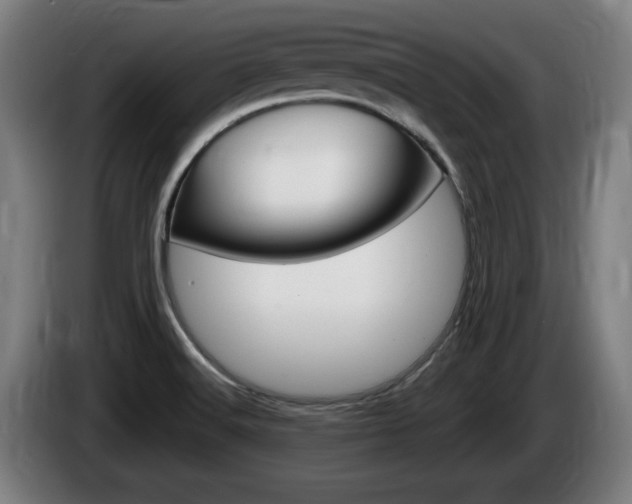 X0000085221516200703090817