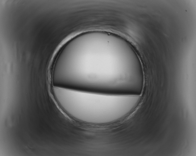 X0000085221517200703090817