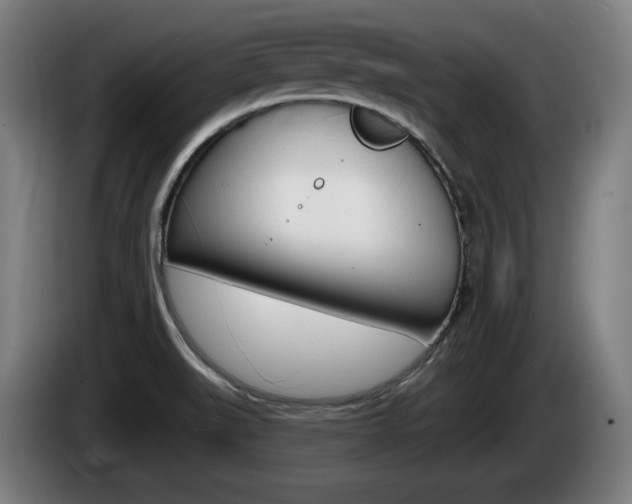 X0000085221519200703090817