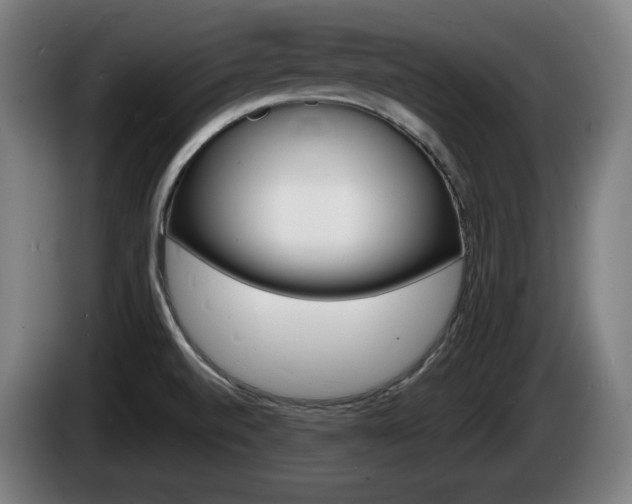 X0000085221520200703090817