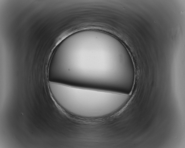 X0000085221521200703090817