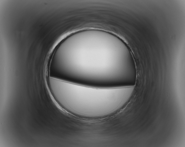 X0000085221523200703090817