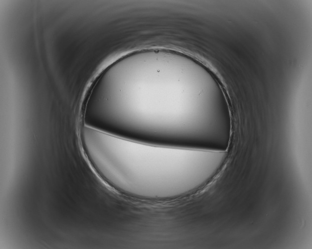 X0000085221525200703090817
