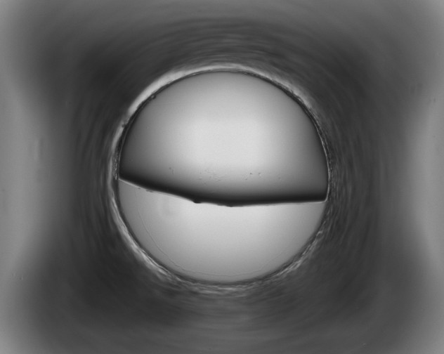 X0000085221526200703090817