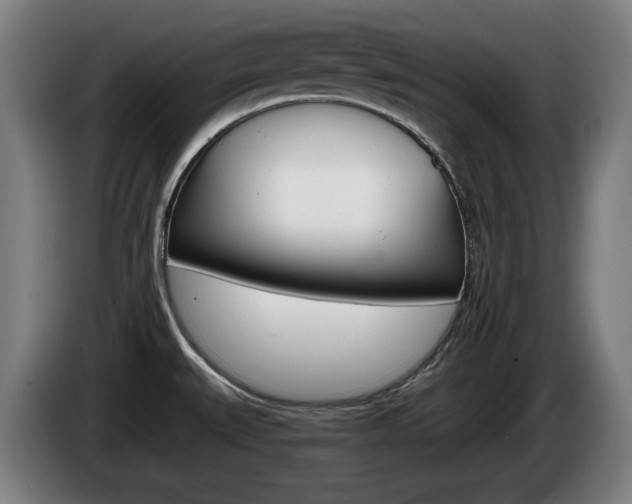 X0000085221527200703090817
