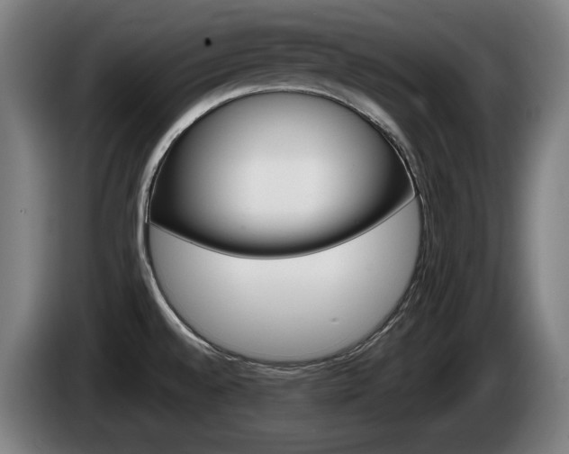 X0000085221528200703090817