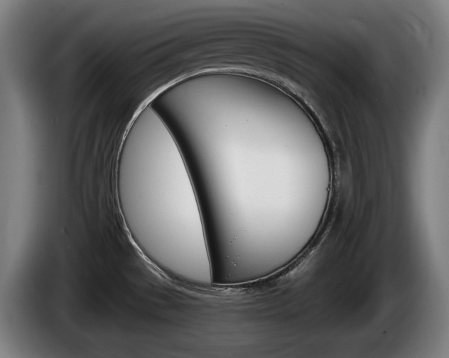 X0000085221529200703090817