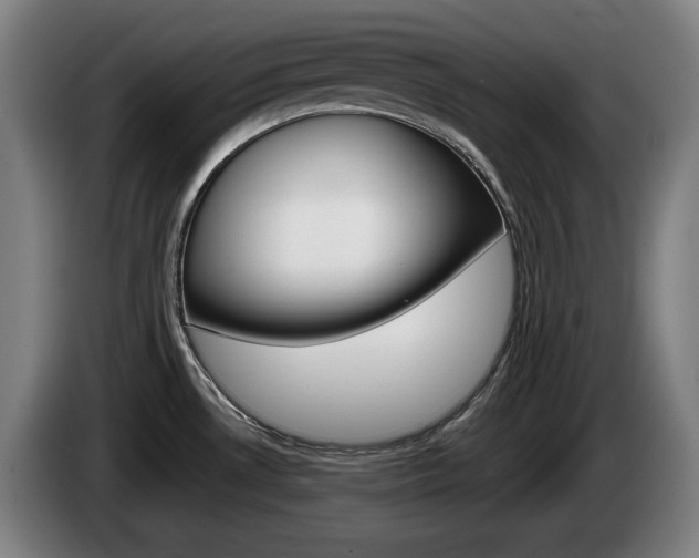 X0000085221530200703090817