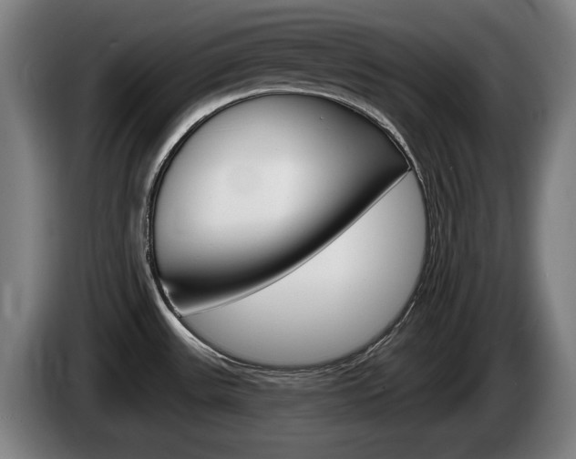 X0000085221531200703090817