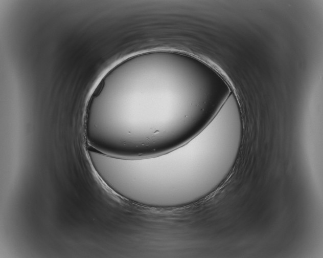 X0000085221532200703090817