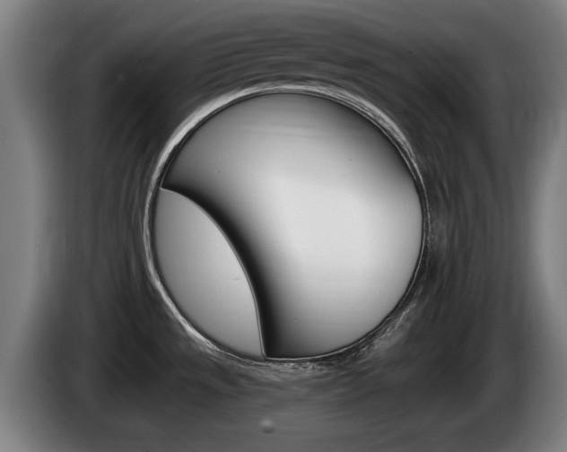 X0000085221533200703090817