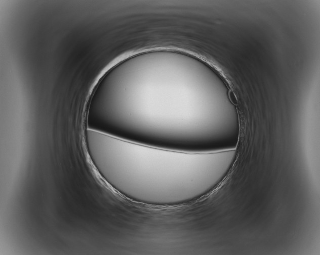X0000085221534200703090817