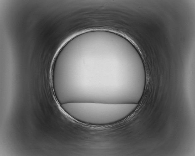 X0000085221535200703090817