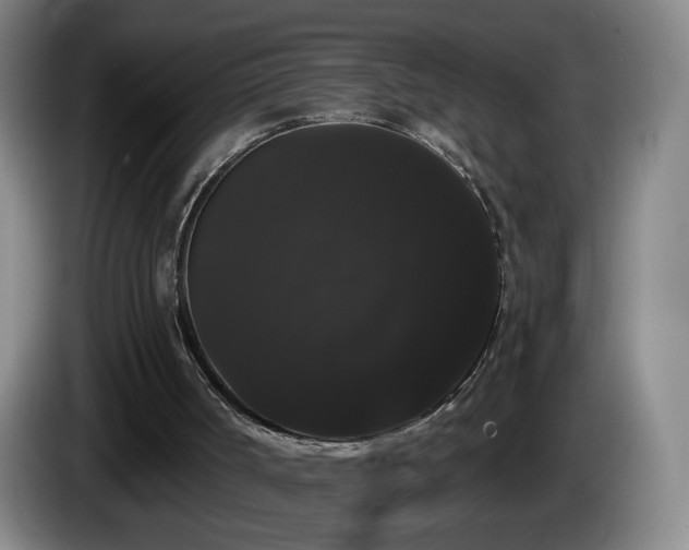 X0000085220002200703091210