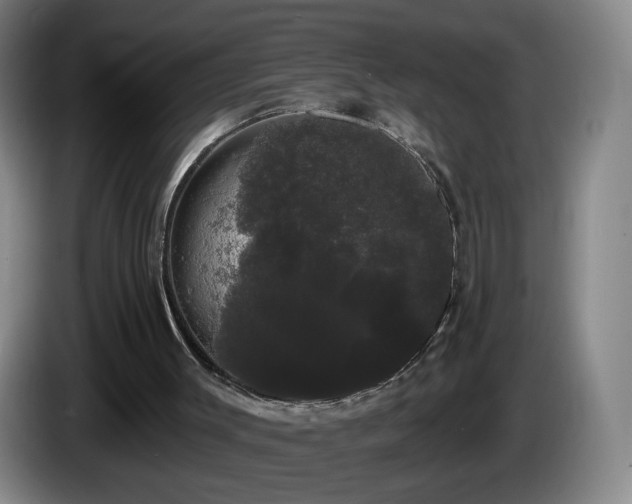 X0000085220003200703091210