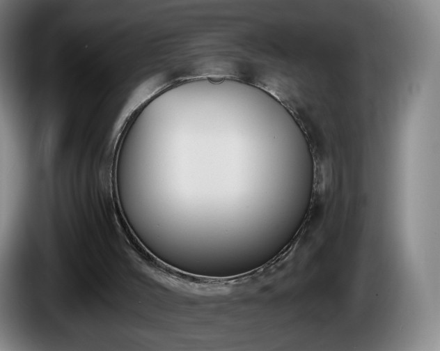 X0000085220004200703091210