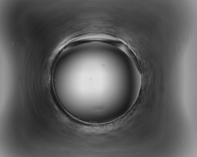 X0000085220005200703091210