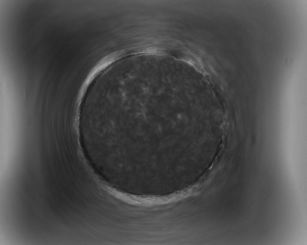 X0000085220006200703091210