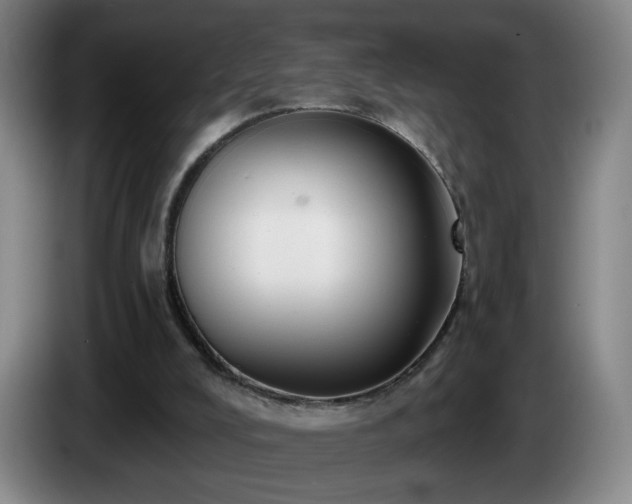 X0000085220008200703091210