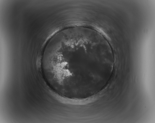 X0000085220010200703091210